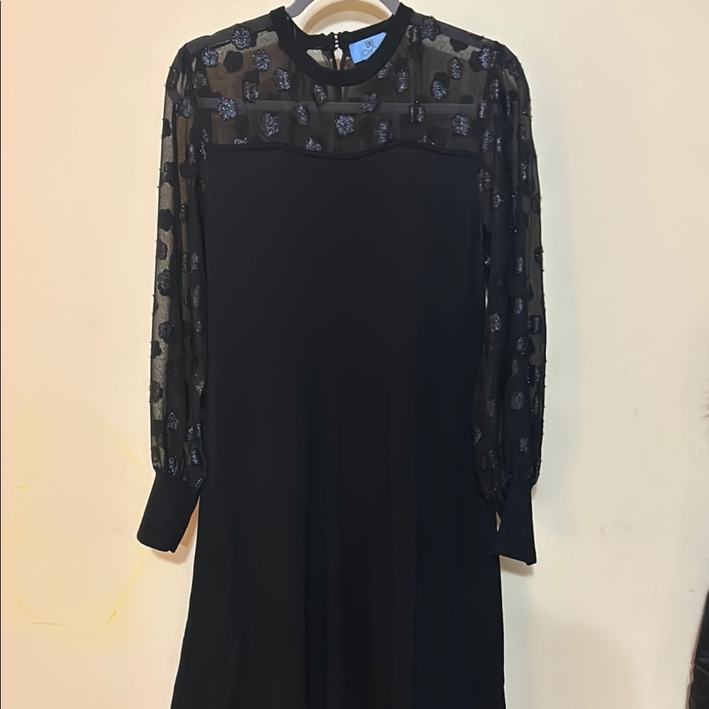 CeCe little black dress, sheer top with silver and black embellishments